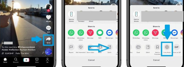 how to download tiktok videos using tiktok app