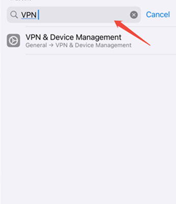 VPNとデバイス管理を選択