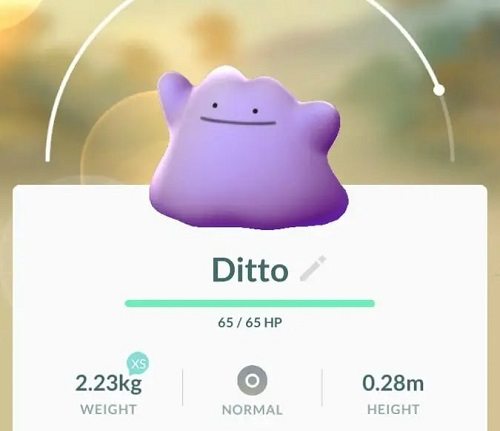 how to catch a ditto