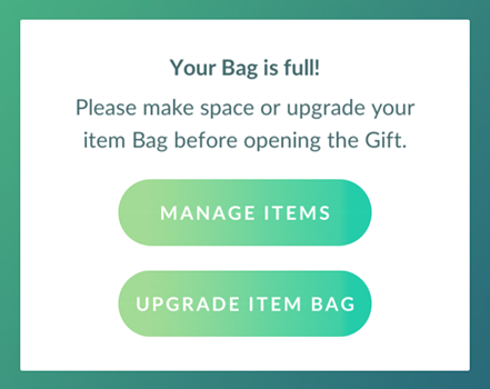 Pokemon GO Your Item Bag is full