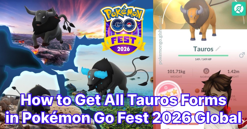 all tauros forms guide