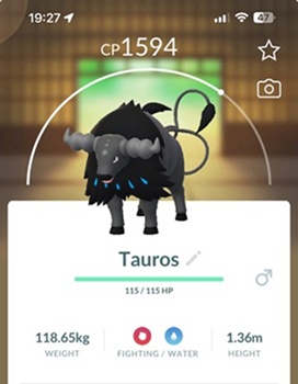 aqua paldean tauros pokemon go