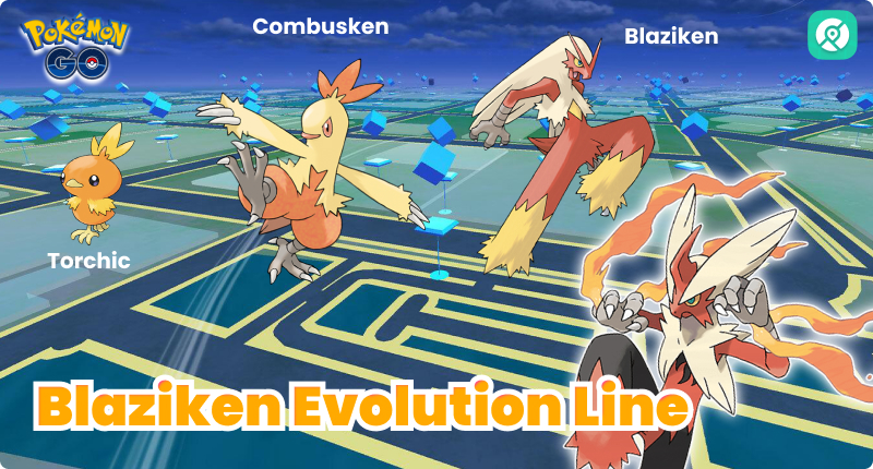 blaziken evolution line