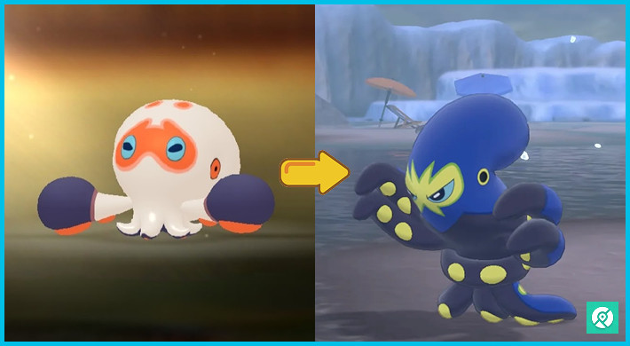 clobbopus evolution pokemon go