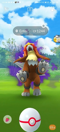 entei shadow raid