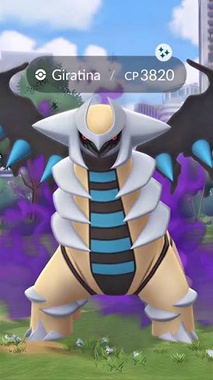giratina shadow raid