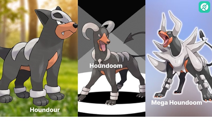 houndoom evolution