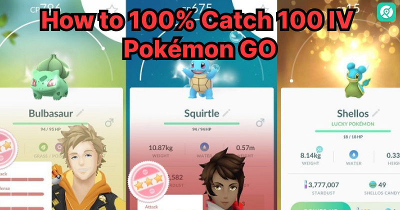 how to catch 100 iv pokemon go