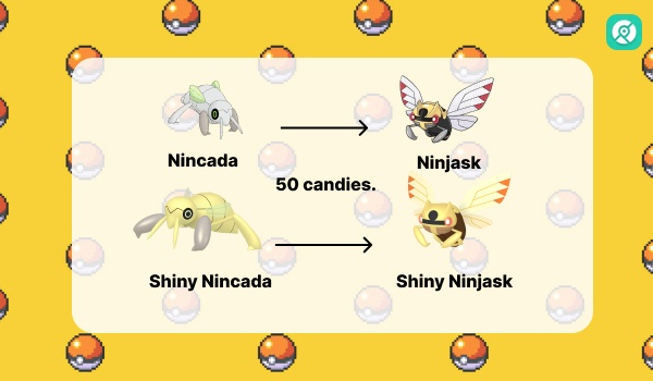 how to evolve nincada into ninjask