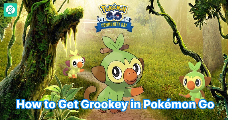 how to get grookey in pokemon go
