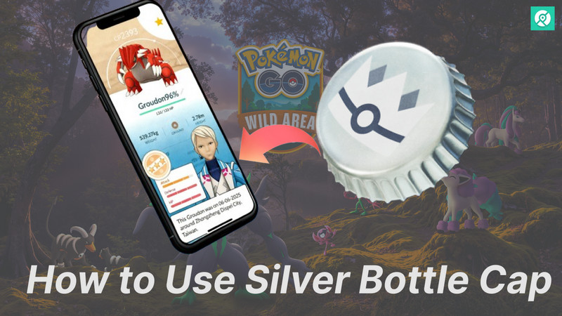 how to use silver bottle cap