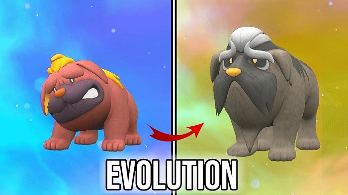 maschiff complete evolution line
