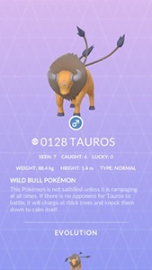 normal tauros form