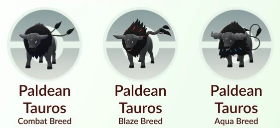 paldean tauros forms