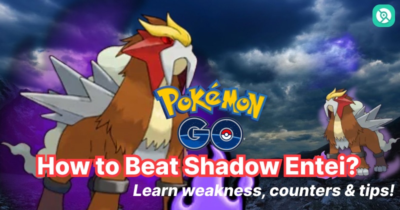 shadow entei best counters