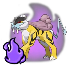 shadow raikou pokemon go