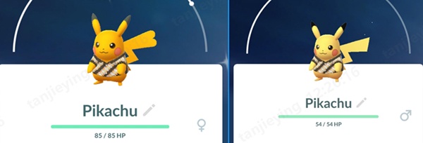 what does shiny batik pikachu look like
