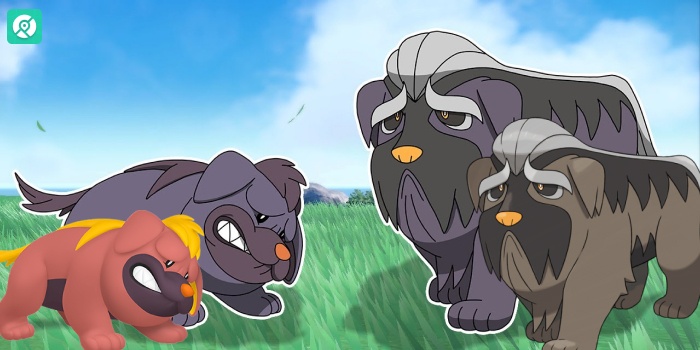 shiny maschiff pokemon go