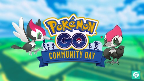 shiny pikipek pokemon go