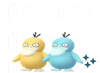 shiny psyduck pokemon go
