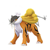 shiny raikou