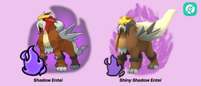 shiny shadow entei pokemon go