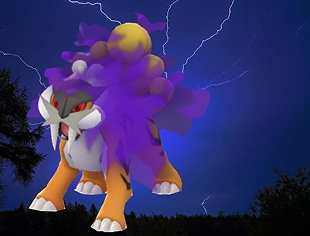 shiny shadow raikou pokemon go