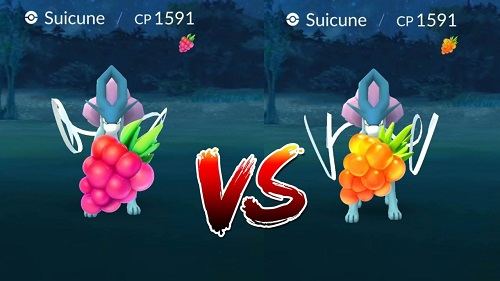 shiny tapu lele berries