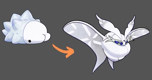 snom evolution line