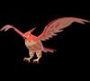 shiny Talonflame