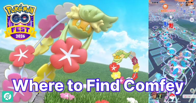 where to find comfey